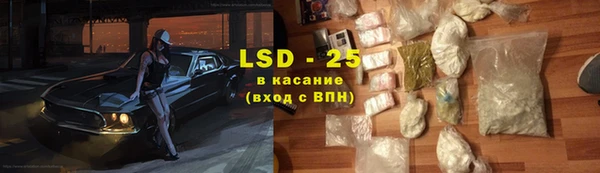 шишки Баксан