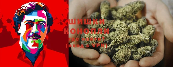шишки Баксан