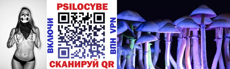 сколько стоит  Нурлат  Галлюциногенные грибы прущие грибы 